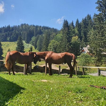 Koca Goska Ravan Hotel Kamna Gorica Eksteriør billede